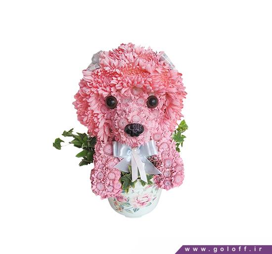 فروشگاه اینترنتی گل و گیاه - گل نوزاد پینک پاپی - Flower Toy | گل آف